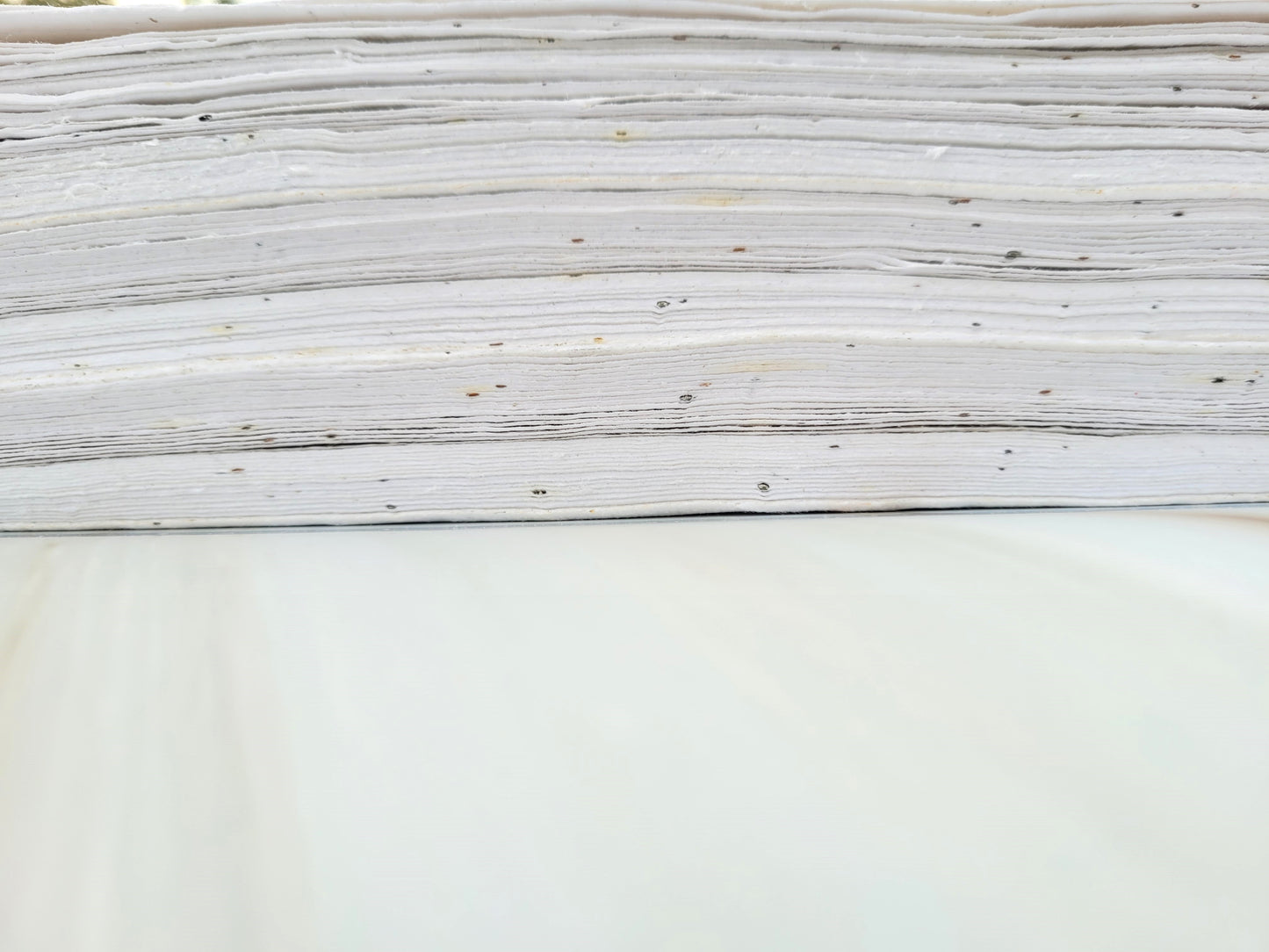 Printable A4 Seed Paper Printer Safe - White Printable Seeded Paper Sheets - 200 GSM Premium Handmade wildflower Seed Paper