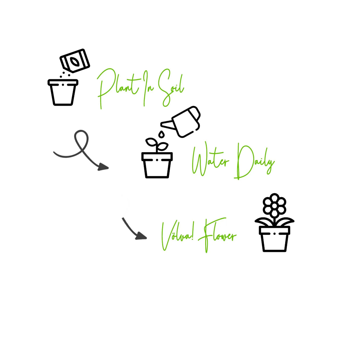 A simple illustrated guide showing plant care steps: a seed pouch into a pot labeled 'Plant In Soil,' a watering can into a small plant labeled 'Water Daily,' and a labeled 'Volna Flower' pointing to a potted flower on a white background.